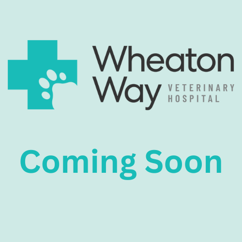 Wheaton Way Veterinary Hospital coming soon photo