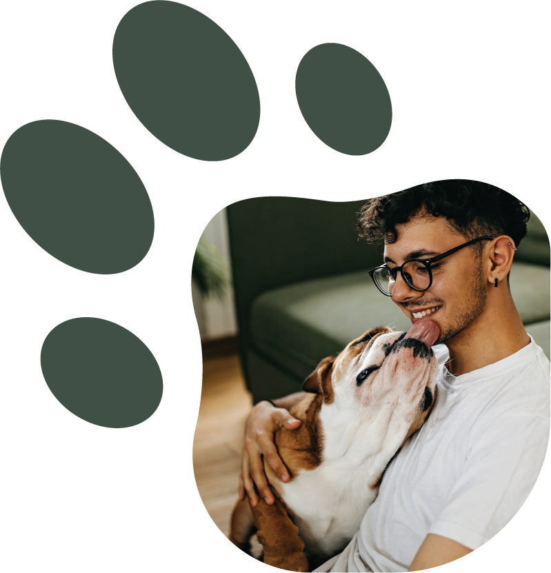 care for your pet - wheaton way veterinary hospital - bremerton washington