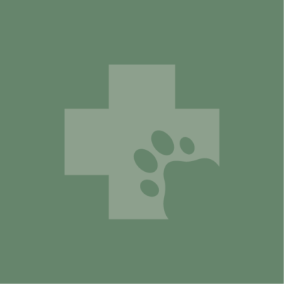 Staff Placeholder - wheaton way veterinary hospital - bremerton washington