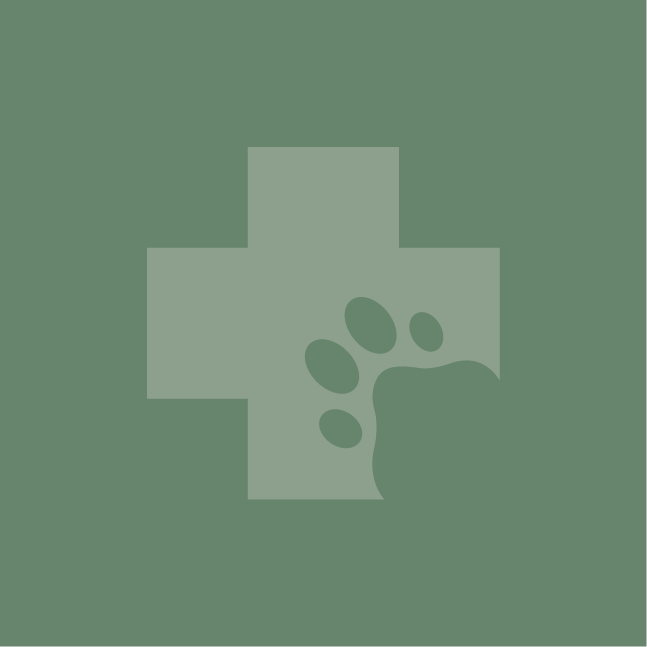 Staff Placeholder - wheaton way veterinary hospital - bremerton washington