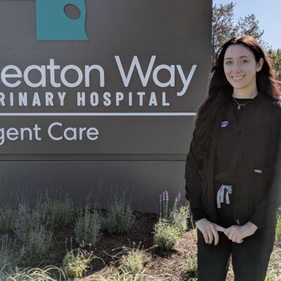 Wheaton Way Vey Hayley