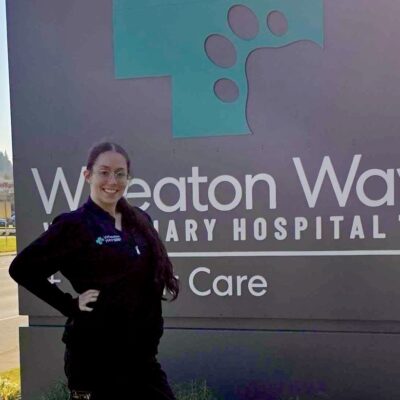 Wheaton Way Vet - Veronica