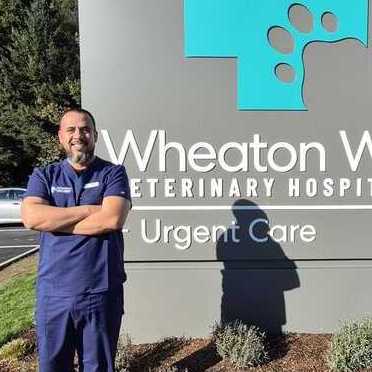 Wheaton Way Vet - Guido, MVZ