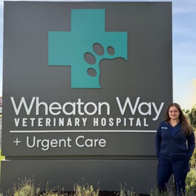 Addison Wheaton Way