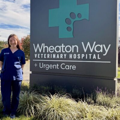 Marandan Wheaton Way