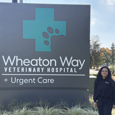 Neriah Wheaton Way
